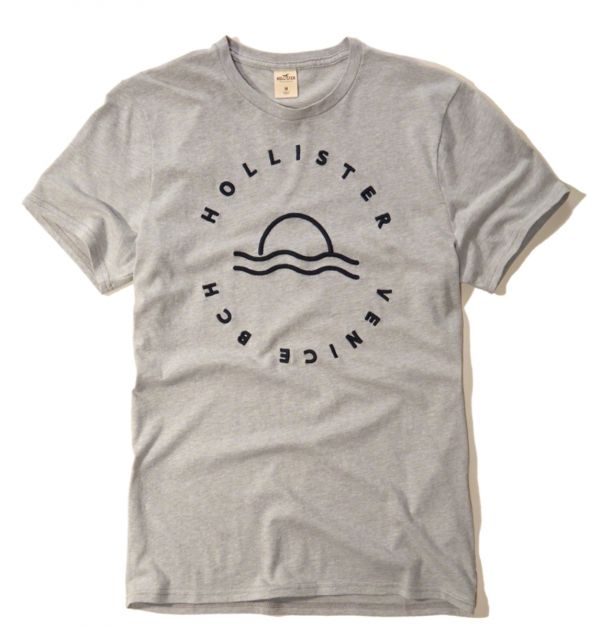 Camiseta Hollister masculina original
