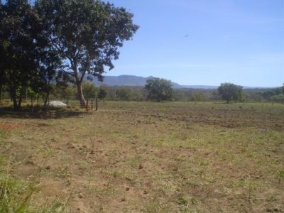 Fazenda em Formosa Goias com 774,4 hectares boa para plantio e criação de gado