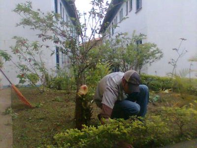 PAISAGISMO e JARDINAGEM (11)2303-5217/ 7303-3441 /6557-9589/8621-3420