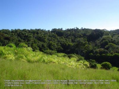 Fazenda a venda no Sul da Bahia, Ilhéus.