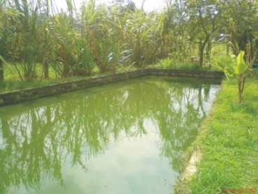 CACHOEIRAS DE MACACÚ SITIOS A VENDA CAETANO IMOVEIS