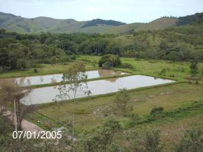 FAZENDINHA 290MIL METROS- VENDO, RIO BONITO RJ-MUITA AGUA, CACHOEIRINHA E OUTROS. A APENAS 100KM DA 