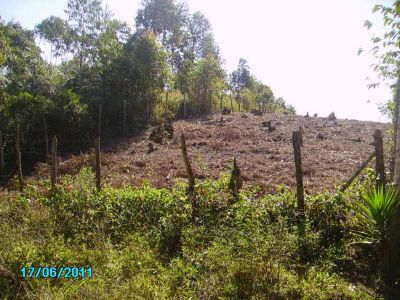 CHÁCARA C/ 2.400 M²- SÃO LOURENÇO DA SERRA - SP - - COD: 451 - F: (11) 4686-1562 - CEL: (11) 7302-92