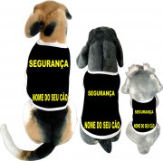 Roupas divertidas e engraçadas para cães de todas as raças