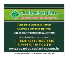 Flora Recanto Das Plantas