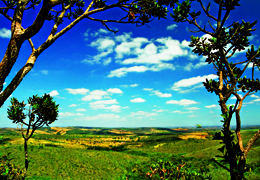 Lotes Condominio - Jaboticatubas