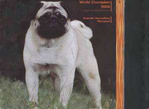 Filhotes de Pug, linhagem importada R$2.000