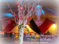 SUZANO- DECORAR CASAMENTO e FESTAS