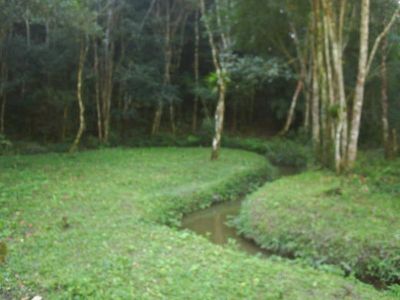 CHÁCARA C/ 66.000 M²- JUQUITIBA - SP - - COD: 381        