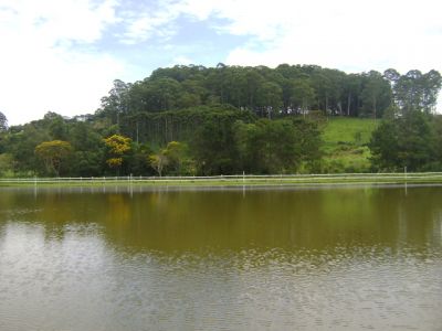 Sítio em Bragança Paulista 50.000m² R$ 450 mil set.11