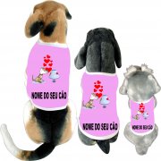 Roupas divertidas e engraçadas para cães de todas as raças