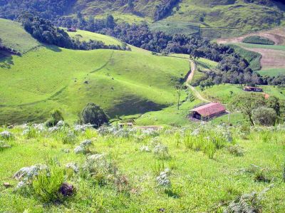 VENDO SITIOS DE 1 HECT POR 35 MIL