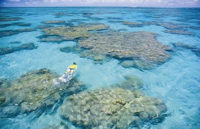 	 Natal Maracajau 1.440m2  Magnifico Terreno en Segunda Línea de Playa 