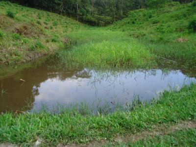 SÍTIO COM 14 ALQUEIRES