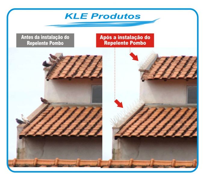 Repelente para Pombos 
