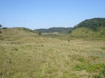 Fazenda 163 alqueires