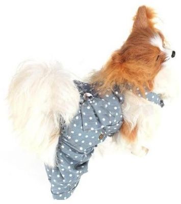 Roupas para Cães - Jardineira Sunshine  