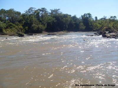 Chácaras de 5 e 2,5 hectares na ponte do grego