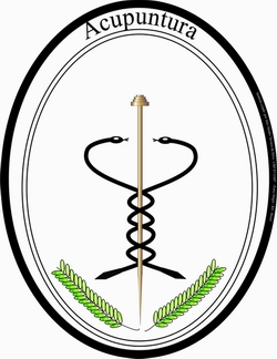 Acupuntura Auricular,Moxabustão,Magnetoterapia Drª Laila Cristina Mady