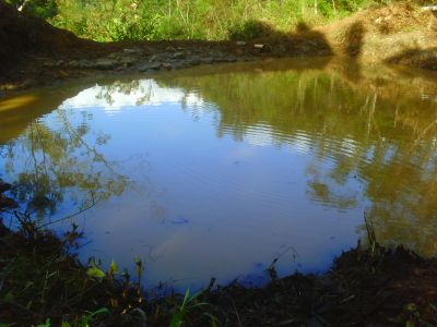 Chácara na Montanha - Morretes