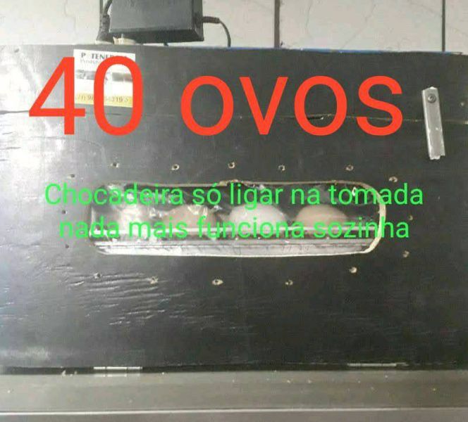 Chocadeira 40 ovos automática digital 