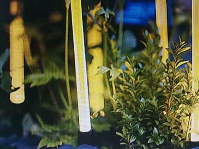 ARQUITETURA,DESIGN DE INTERIORES,PAISAGISMO,DECORAÇÃO E LIGHTING DESIGN ,11-7303-34