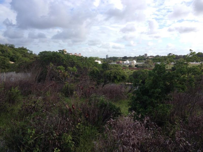 Terreno em Ponta Negra - Código TE00002
