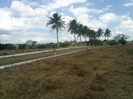 Terrenos em Carpina p/ R$ 20.000,00