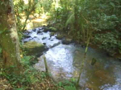 CHÁCARA C/ 66.000 M²- JUQUITIBA - SP - - COD: 381        