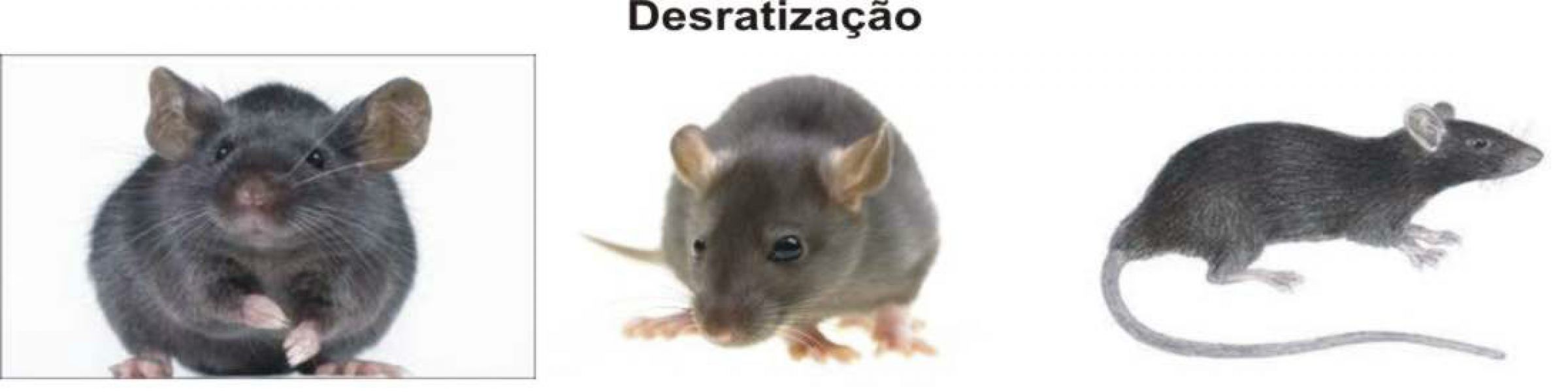 Cabine acústicas vários segumentos