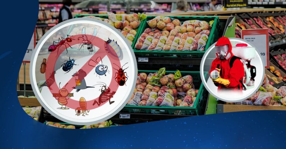 Controle de pragas em mercados e mercearias de forma eficiente