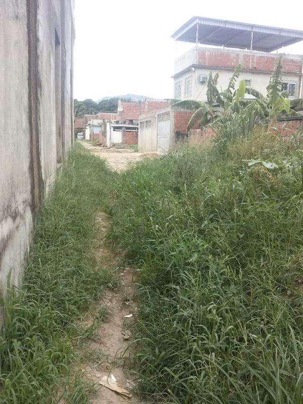 Terreno vendo ou troco  coqueiros