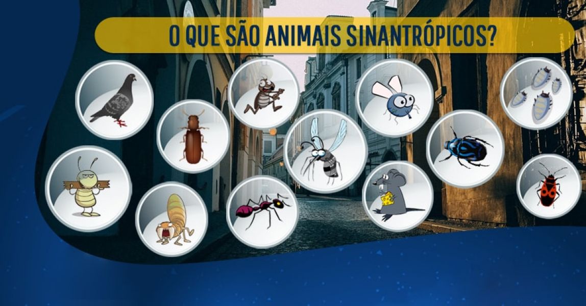 Controle de pragas urbanas executada pela Hidrosaki 