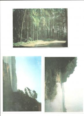 belíssima frente para represa