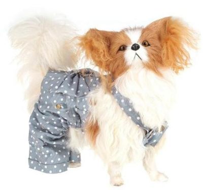 Roupas para Cães - Jardineira Sunshine  