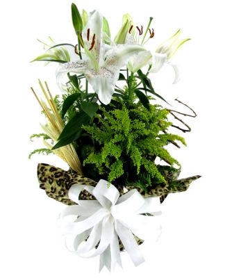 Flores on line BH Floriculturas flora flores presentes em BH Belo Horizonte ramalhetes de rosas BH 