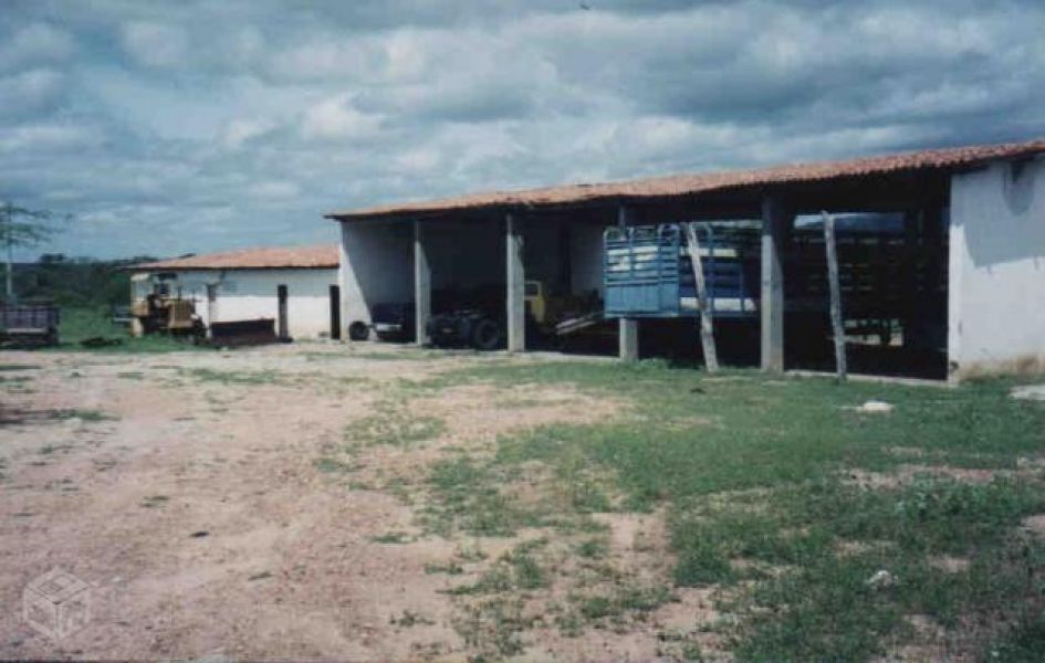 Ótima fazenda com 5.937 hectares, com corte de manejo aprovado pelo Ibama, ACEITO CONTRA PROPOSTA