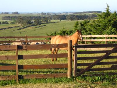 Chacra Rural Jose Ignacio-Uruguay
