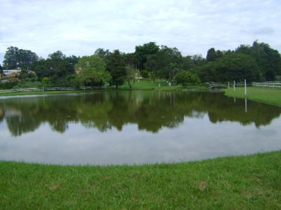 Sítio em Bragança Paulista 50.000m² R$ 450 mil set.11