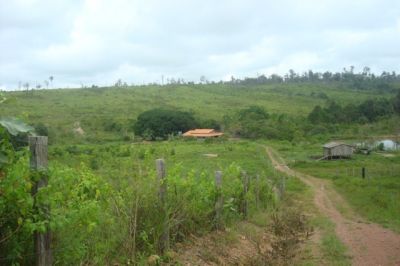 Fazenda de 300 HECTARES NO PARÁ