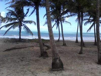 areas a venda em maceio