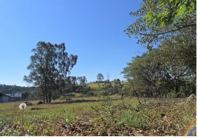 Vendo Área de 22 mil m2 na Estrada do Bonsucesso