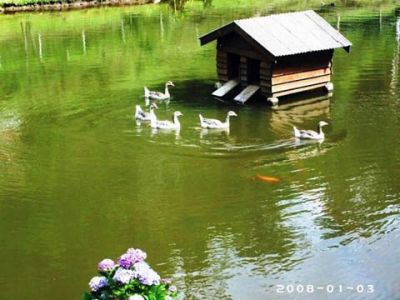 Casa a venda em Campos do Jordão, São Paulo