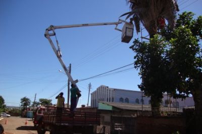 corte e poda de arvores