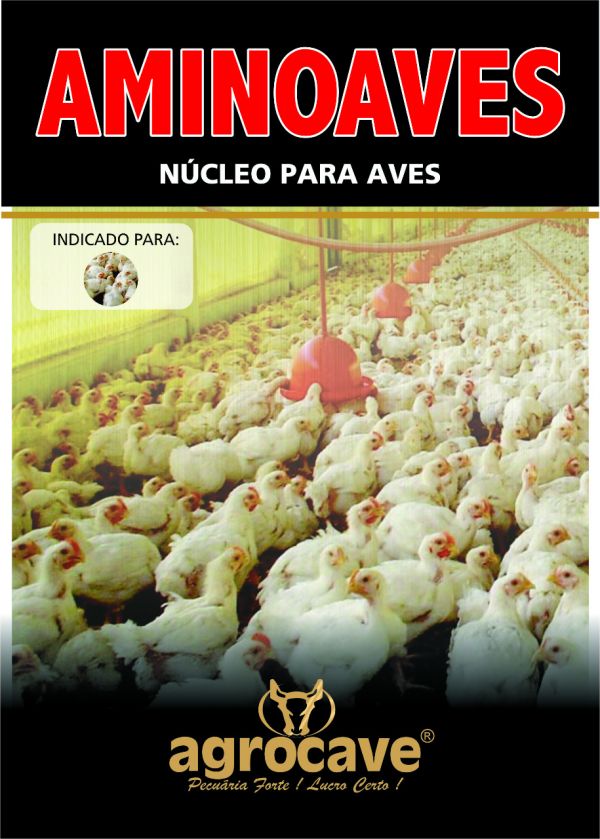 Chocadeira 20 a 30 ovos totalmente automática rj