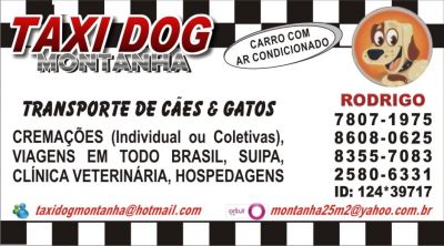 TAXI DOG MONTANHA TRANSPORTE DE ANIMAIS NO RIO DE JANEIRO