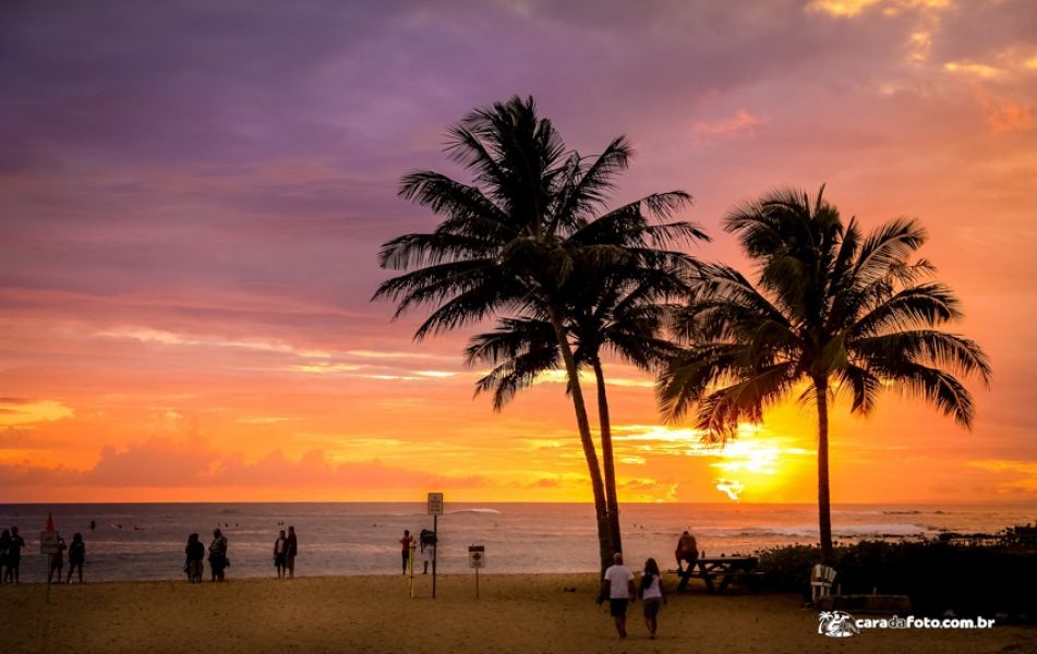 Cara Da Foto - Curso De Fotografia Digital