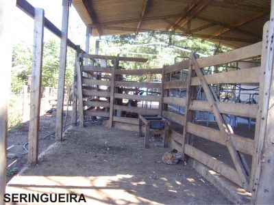 SÍTIO SANTA CRUZ DE GOIÁS GO 020 KM 105