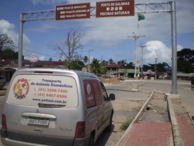 Pettaxi Transporte De Animais Domesticos - Taxi Dog