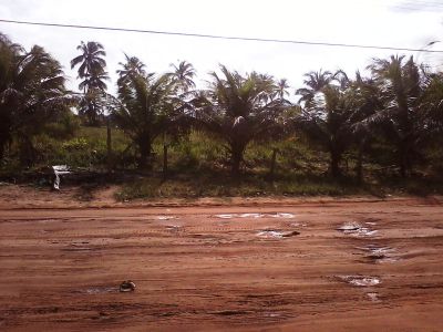 terrenos frente mar a venda em alagoas
